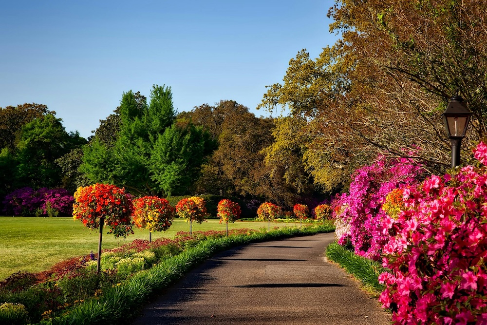 garden