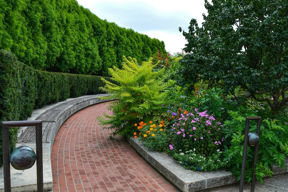 garden