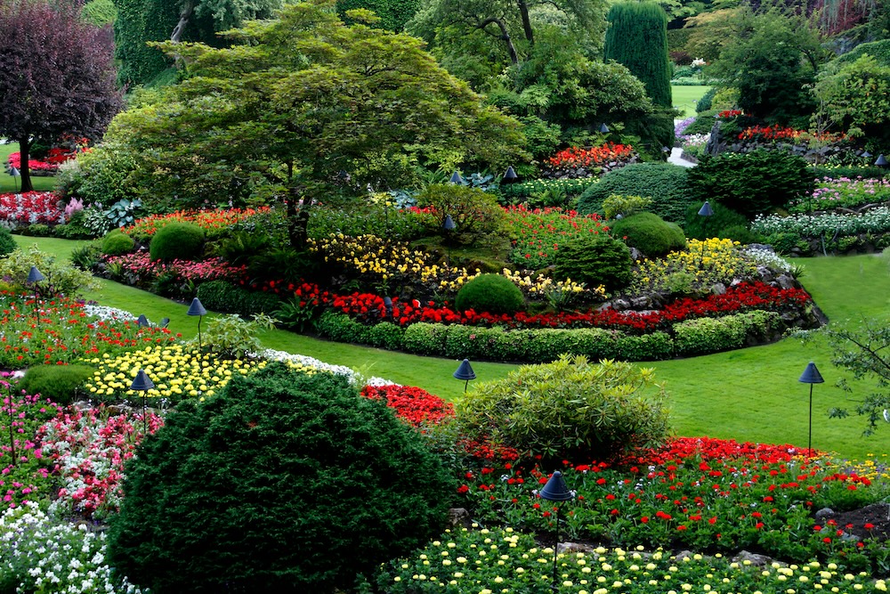 garden